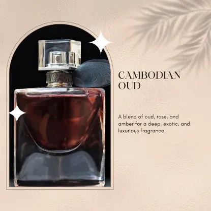 Cambodian Oud